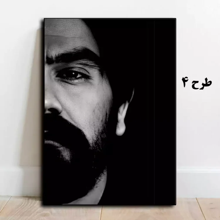 خرید و قیمت تابلو عکس علی سورنا
